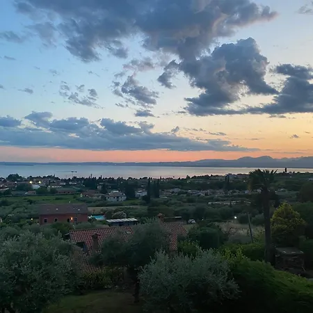 Viola Monte Felice * ברדולינו