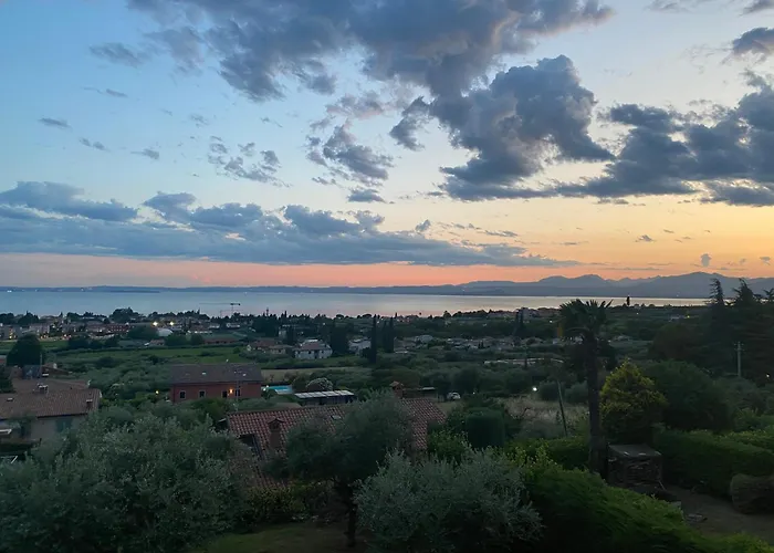 Viola Monte Felice * ברדולינו