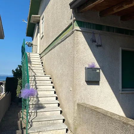 Viola Monte Felice Daire